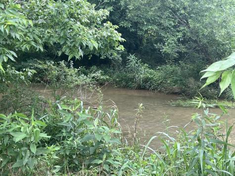 0 Beech Log Road Watertown TN 37184