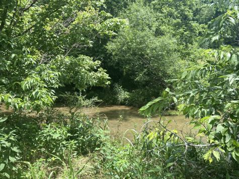 0 Beech Log Road Watertown TN 37184