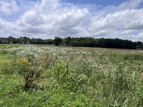 0 Beech Log Road Watertown TN 37184