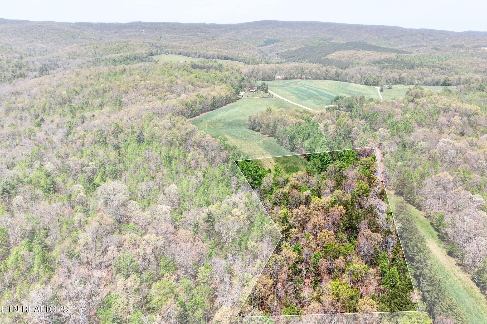 4 Smith Mountain Road Rockwood TN 37854