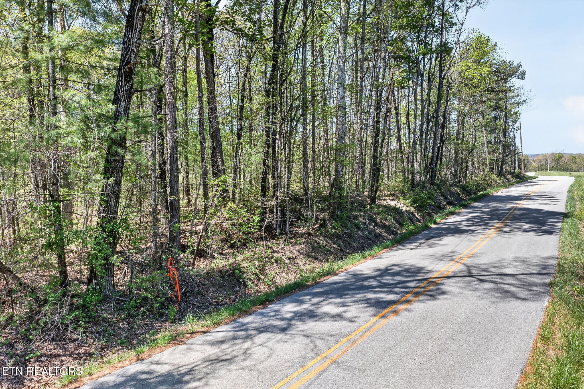 4 Smith Mountain Road Rockwood TN 37854