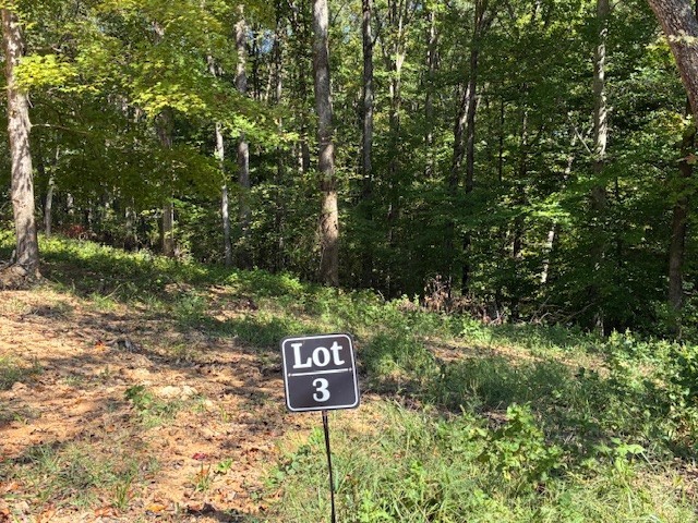3212 Hunziker Lane Fairview TN 37062