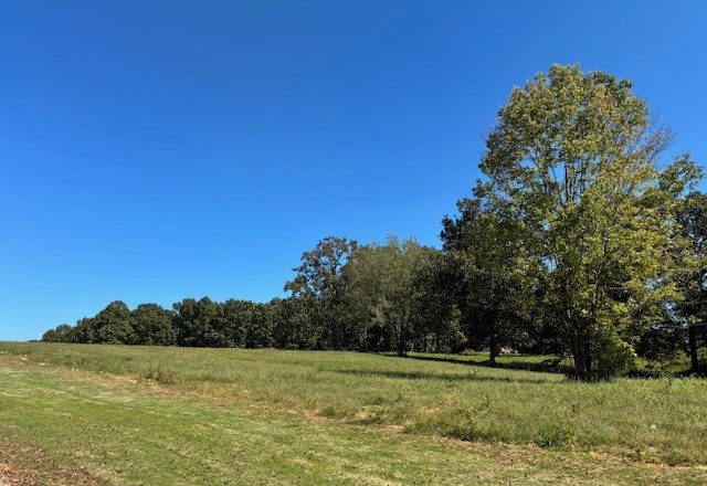 3212 Hunziker Lane Fairview TN 37062