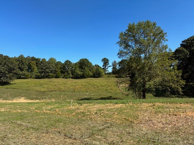 3212 Hunziker Lane Fairview TN 37062