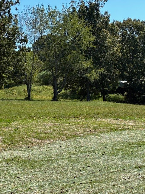 3212 Hunziker Lane Fairview TN 37062