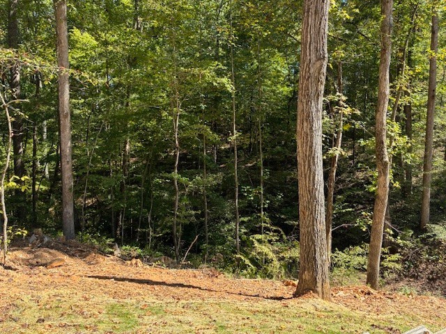 3212 Hunziker Lane Fairview TN 37062