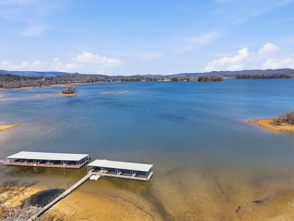 1255 New Lake Road Spring City TN 37381