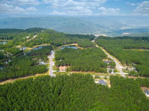 3525 Crockett Point Jasper TN 37347