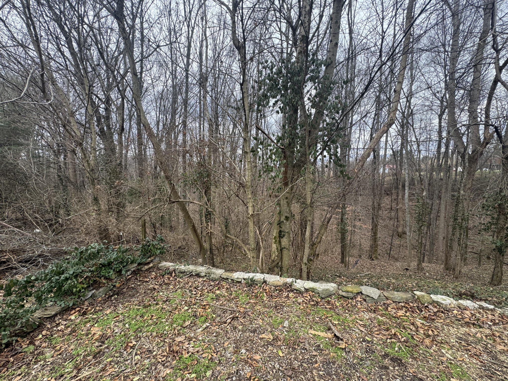 146 H Brown Lane Gainesboro TN 38562