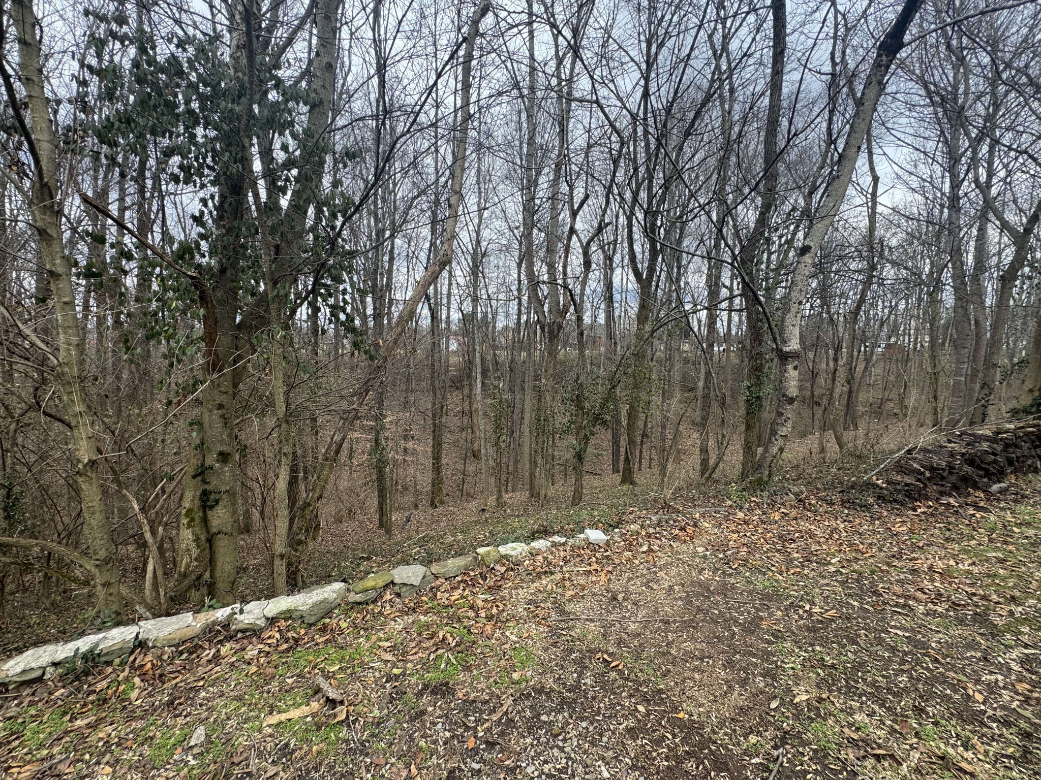 146 H Brown Lane Gainesboro TN 38562