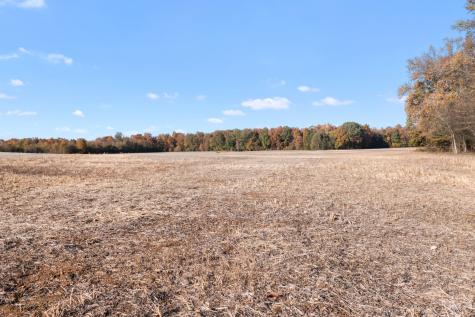 0 Highway 431, N Springfield TN 37172