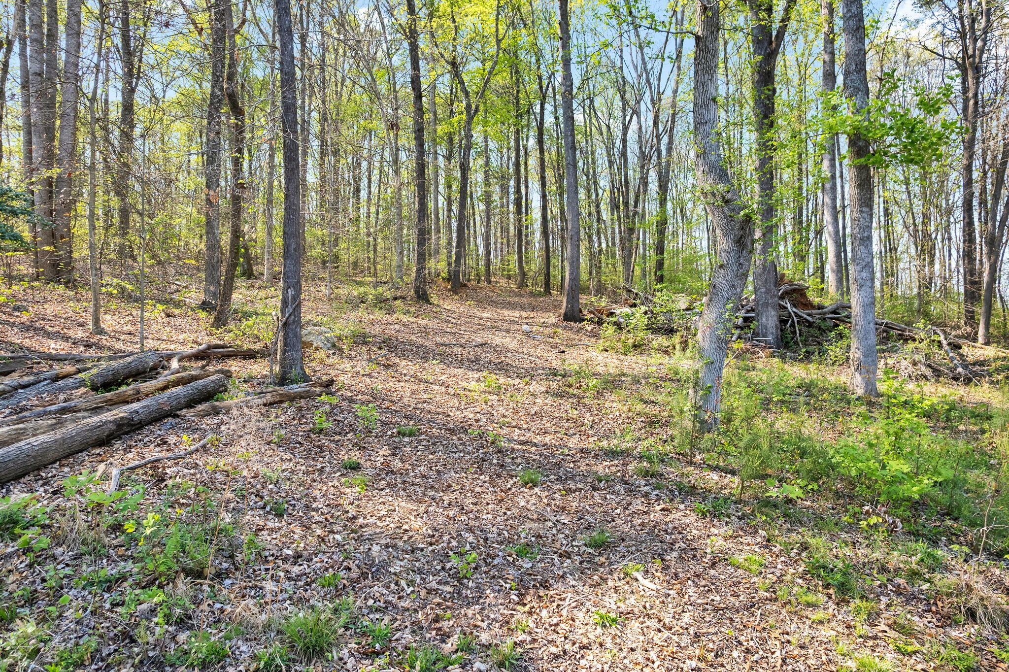 146 County Road 3 Riceville TN 37370