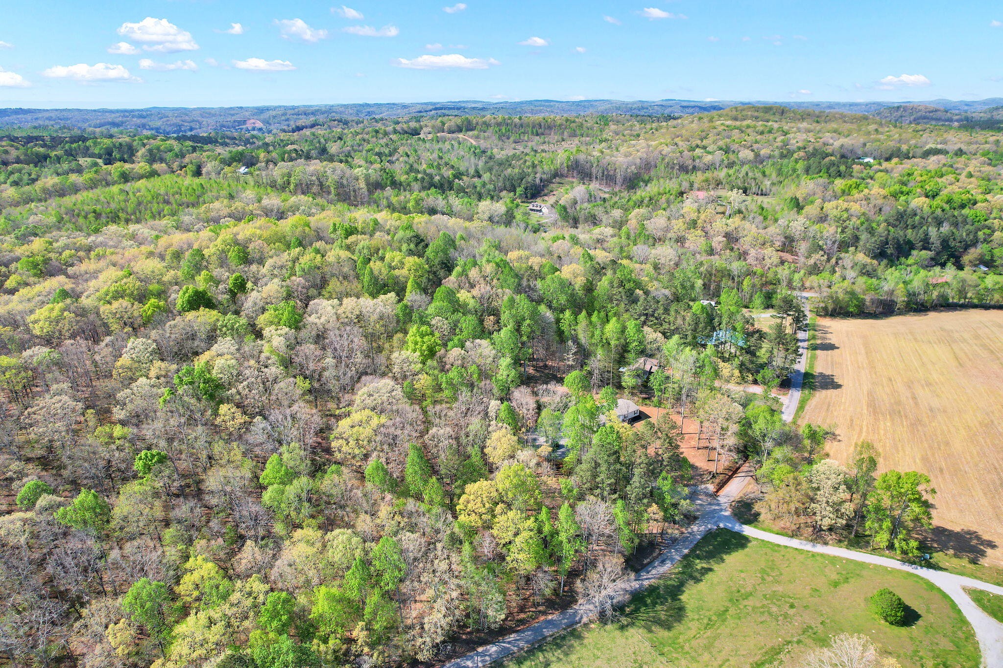 146 County Road 3 Riceville TN 37370