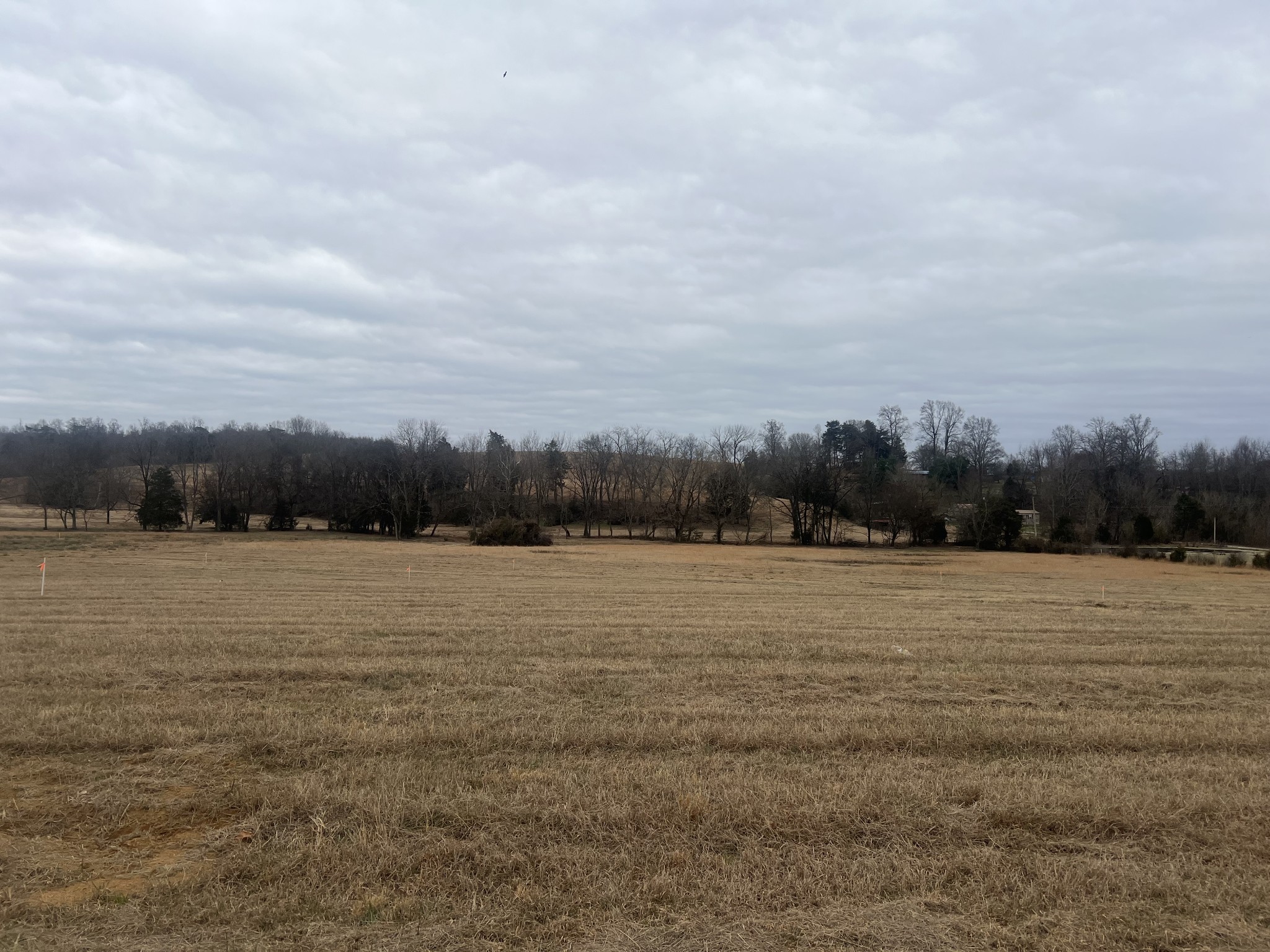 22 Clay County Highway Moss TN 38575