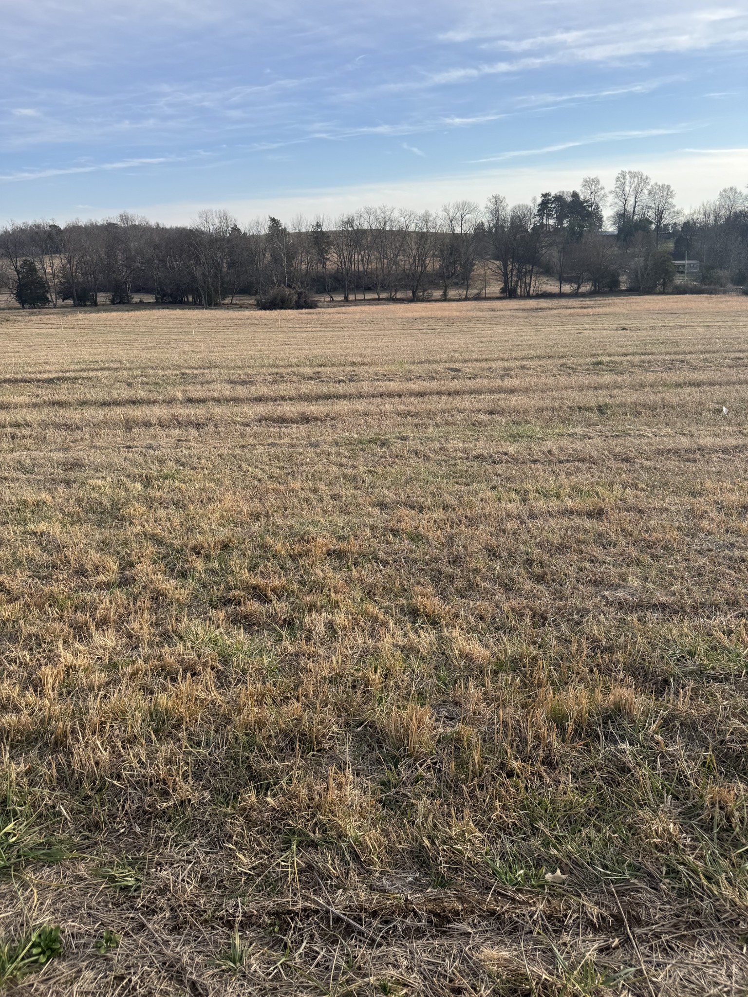 22 Clay County Highway Moss TN 38575