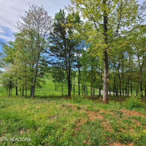 92 Majestic Circle Dandridge TN 37725