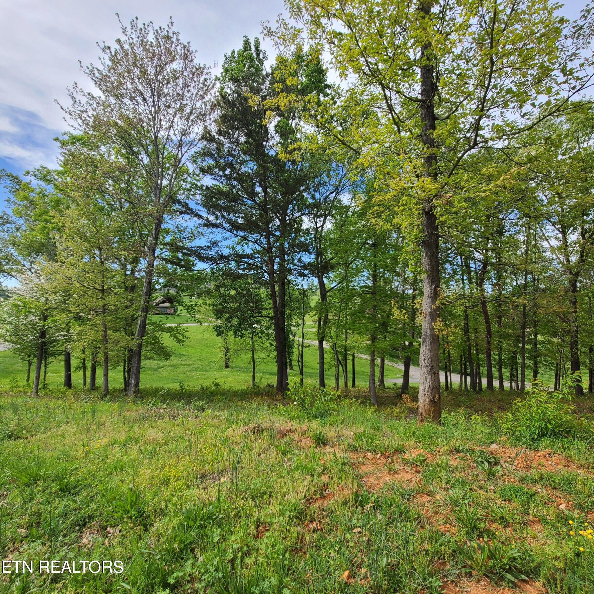 92 Majestic Circle Dandridge TN 37725