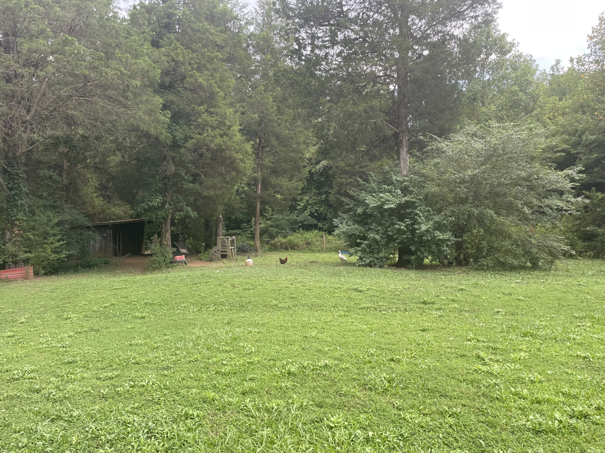 980 Salem Ridge Road Clarksville TN 37040