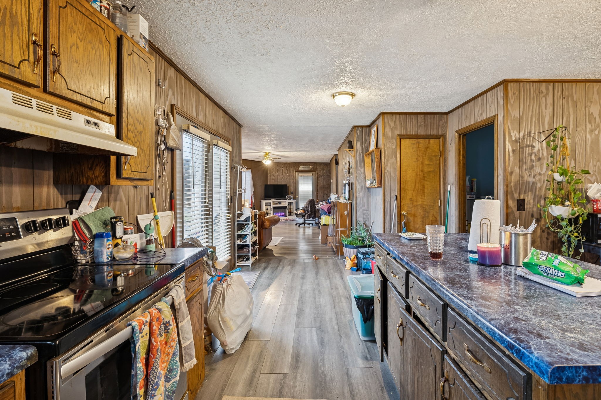 179 Lakeside Drive Carthage TN 37030