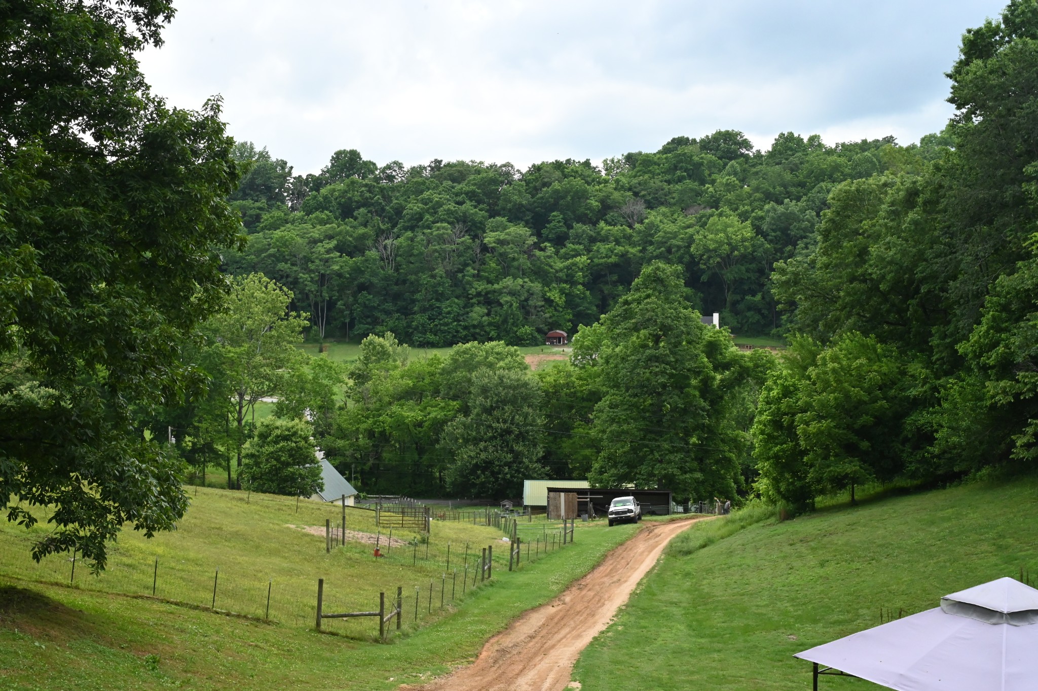 2650 Haywood Hollow Road Columbia TN 38401