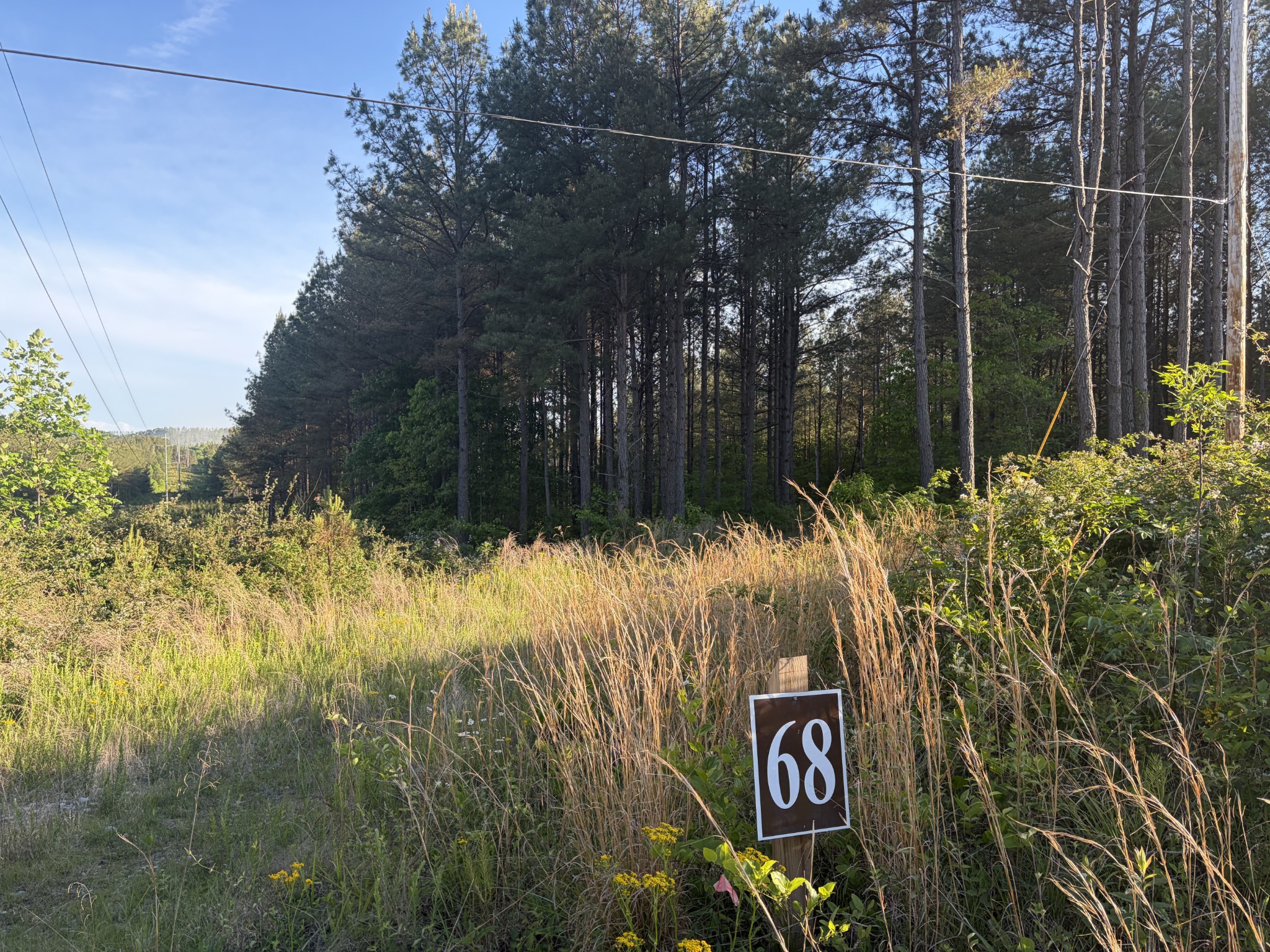 0 Black Bear Lane Sunbright TN 37872
