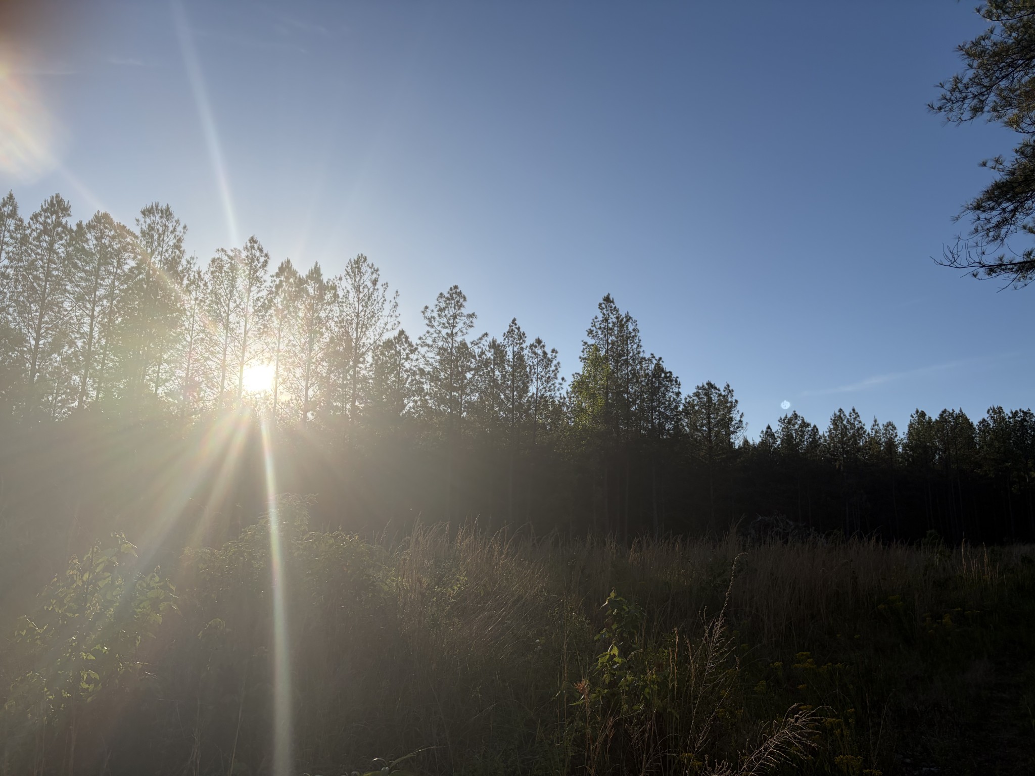 0 Black Bear Lane Sunbright TN 37872