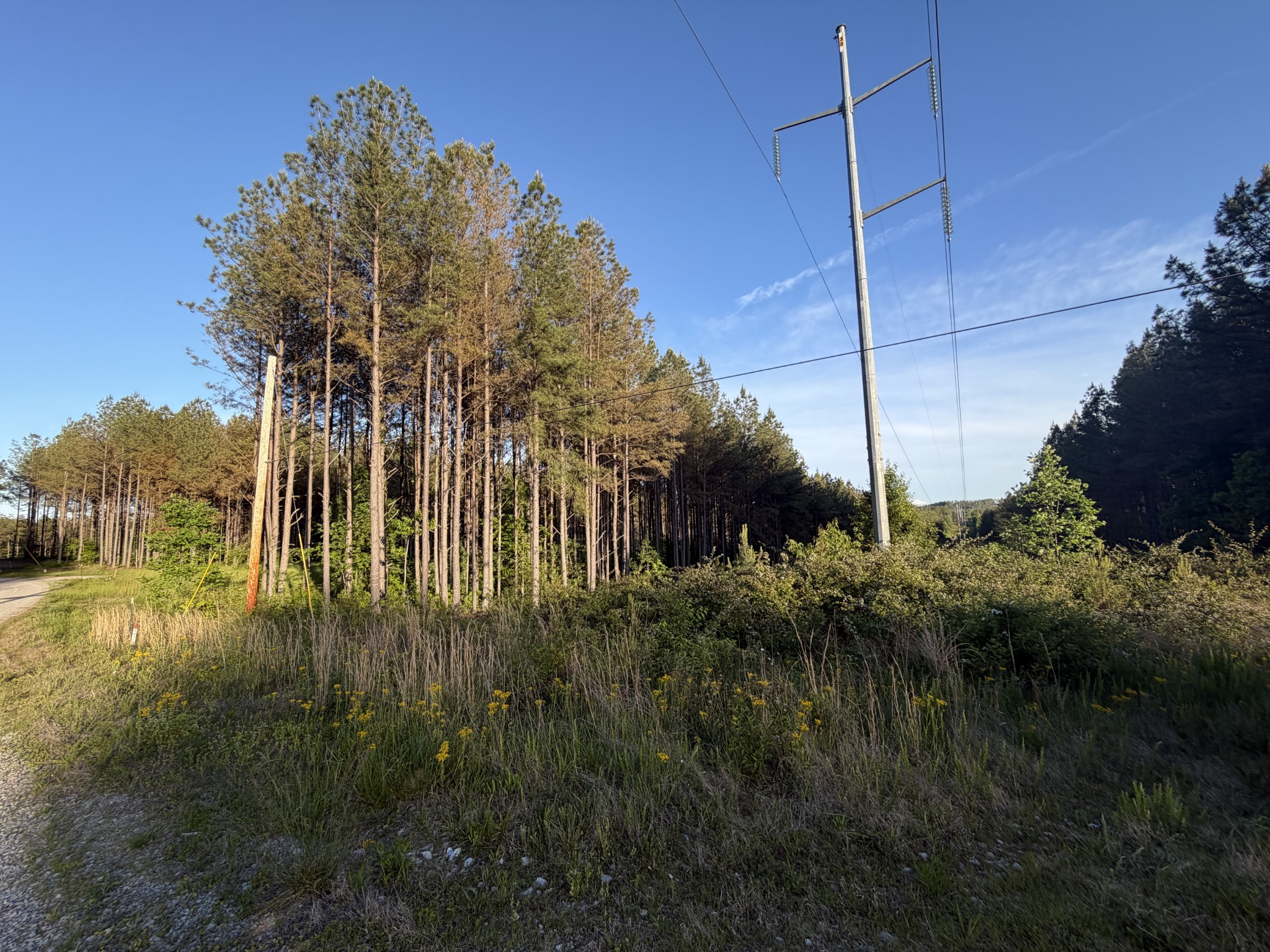 0 Black Bear Lane Sunbright TN 37872