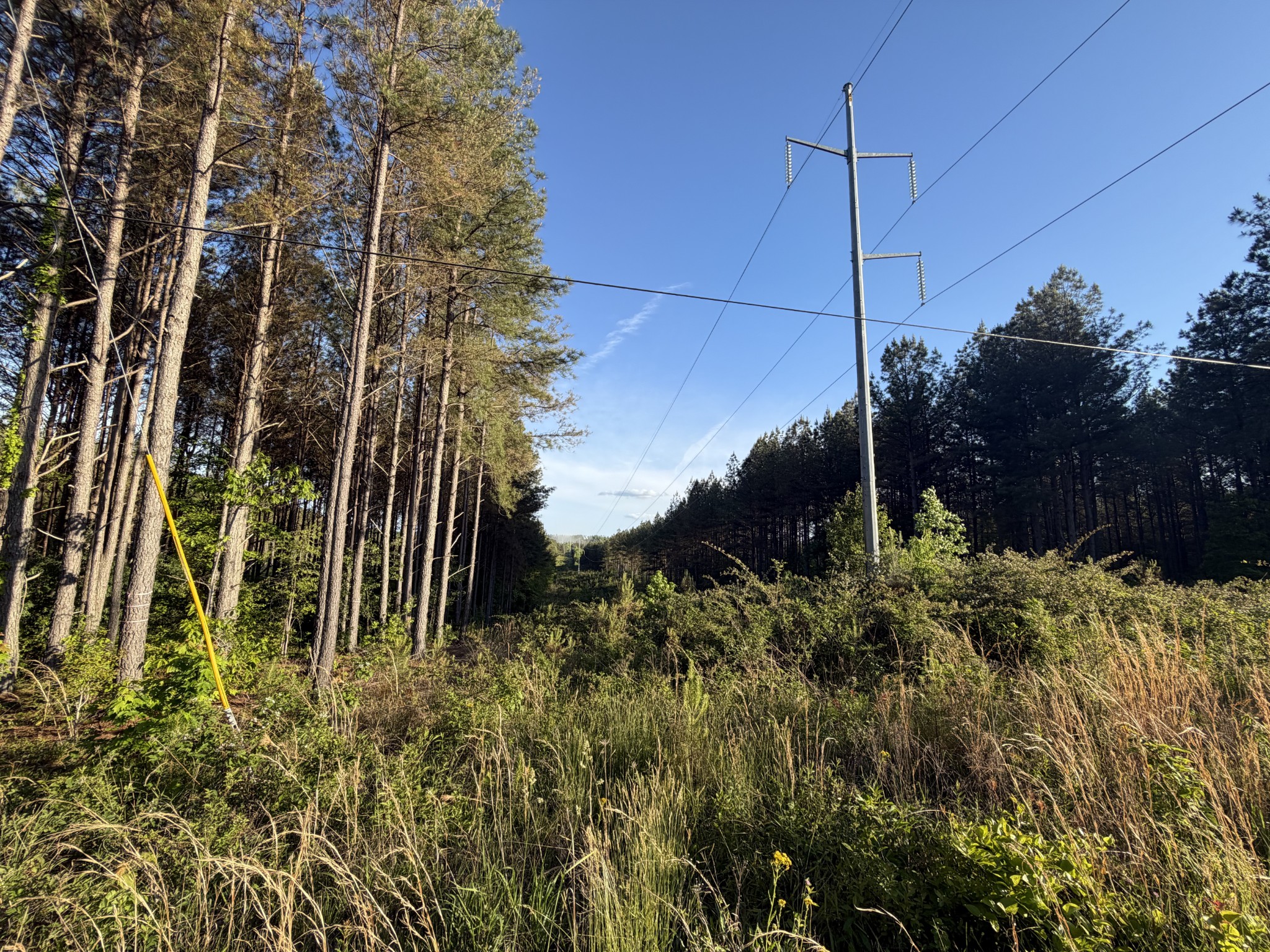 0 Black Bear Lane Sunbright TN 37872