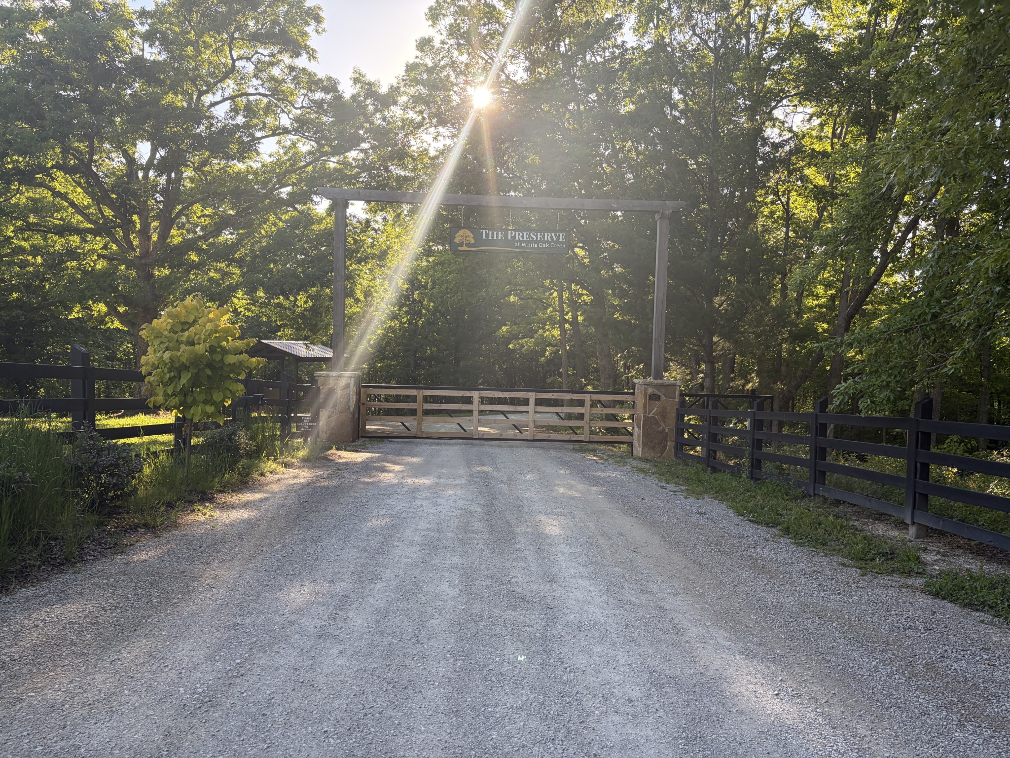 0 Black Bear Lane Sunbright TN 37872