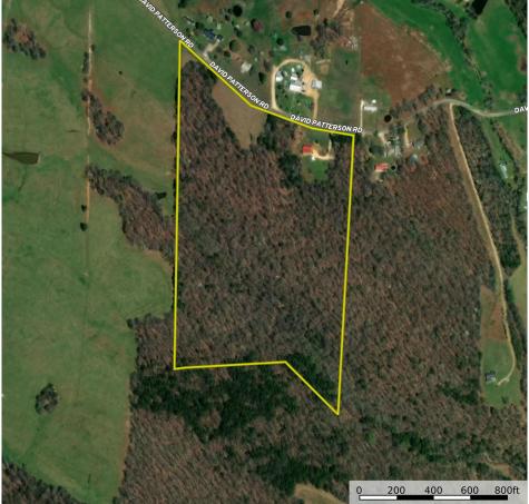 1286 David Patterson Road Lutts TN 38471