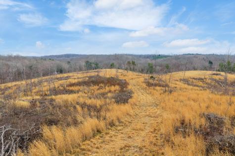 0 Flatwoods Road Camden TN 38320