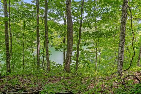 7F Potts Camp Road Smithville TN 37166