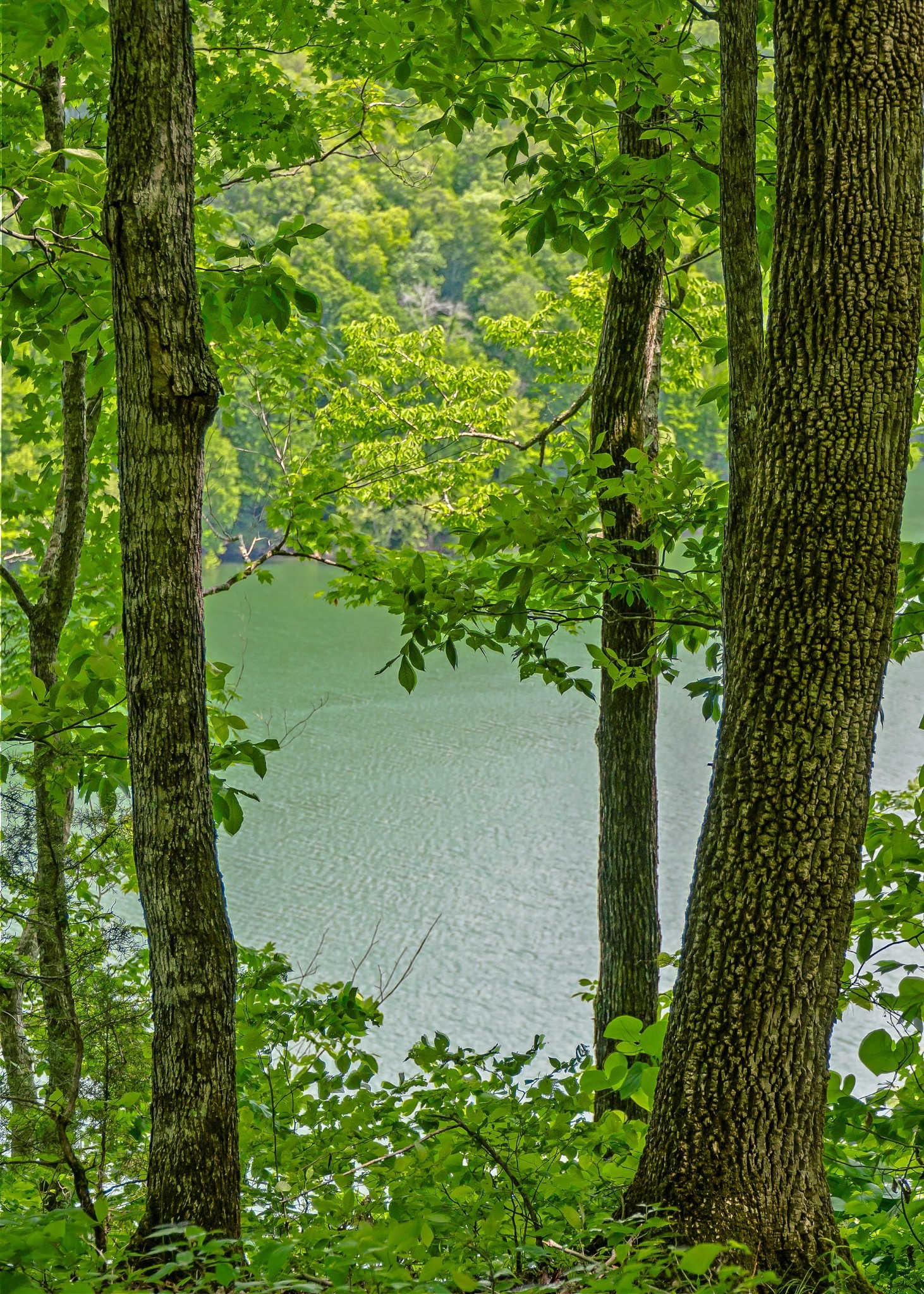 7F Potts Camp Road Smithville TN 37166