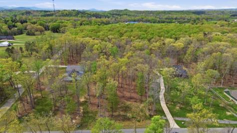 7 Peaceful Point Dandridge TN 37725