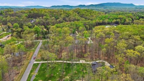 7 Peaceful Point Dandridge TN 37725