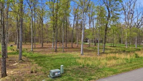 7 Peaceful Point Dandridge TN 37725