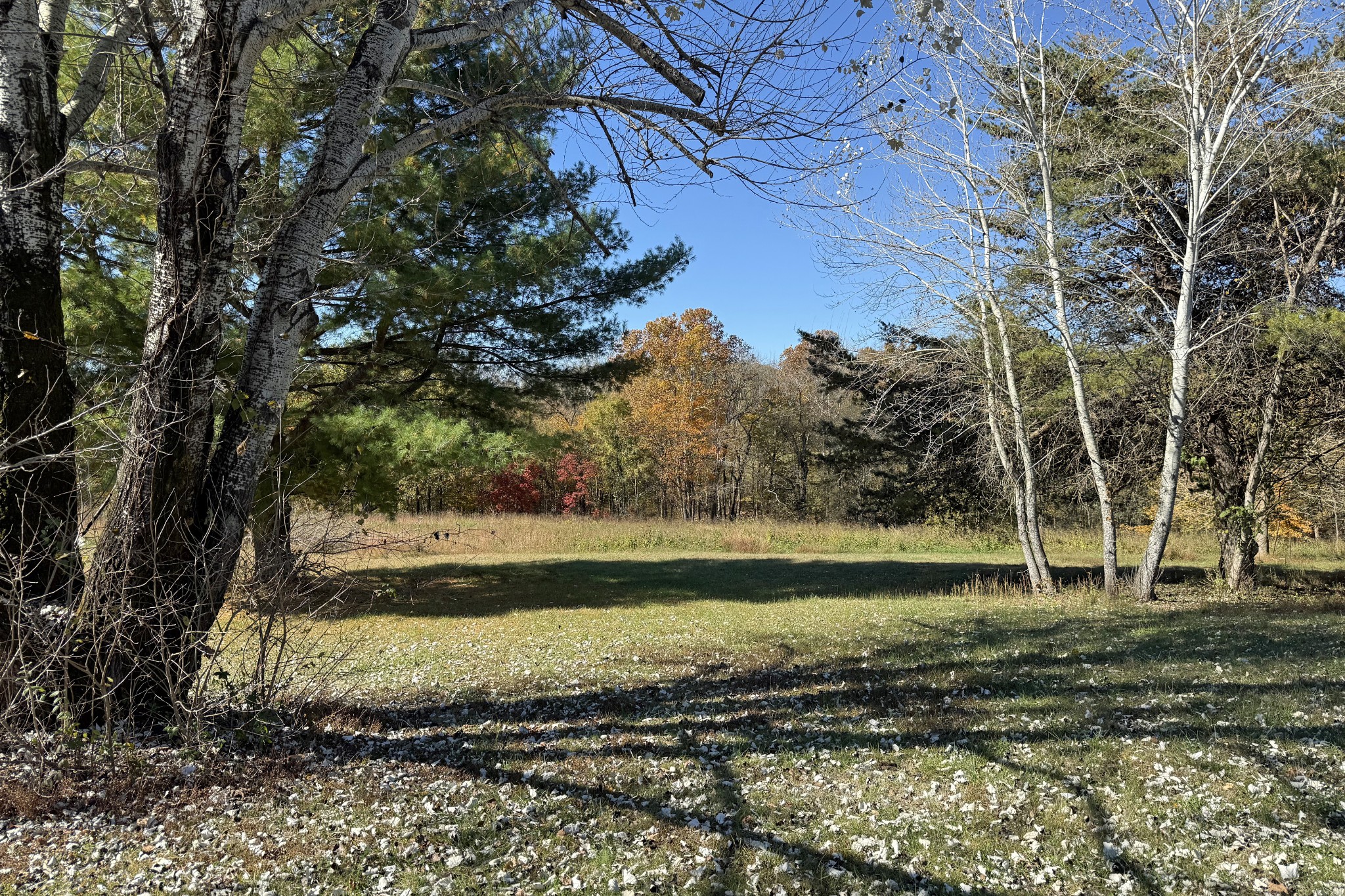 2593 Smiths Grove Road Scottsville KY 42164