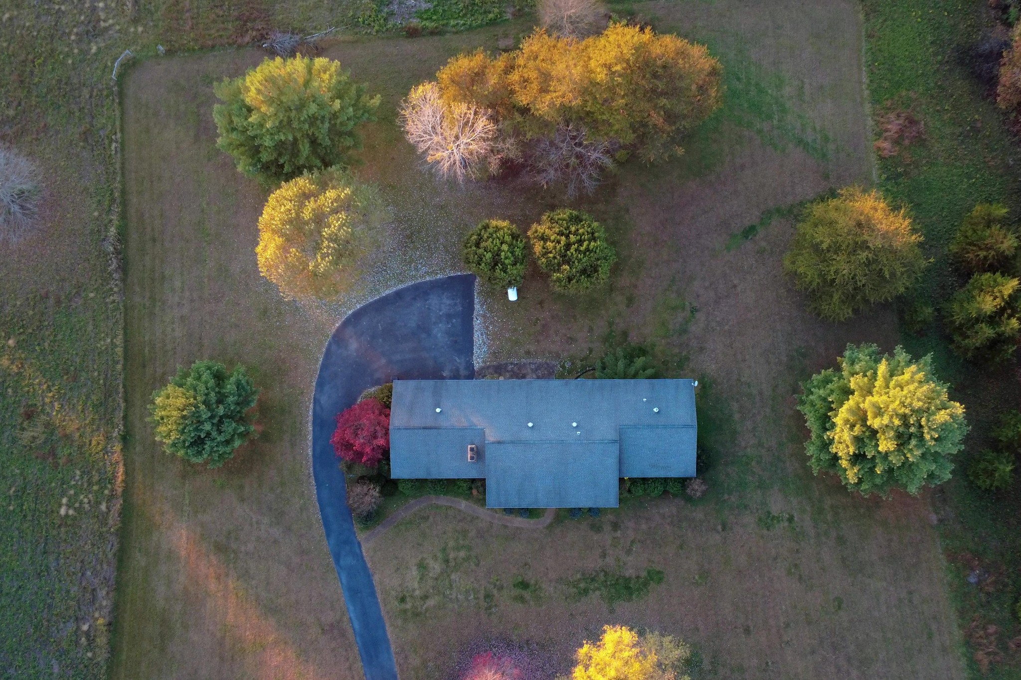 2593 Smiths Grove Road Scottsville KY 42164