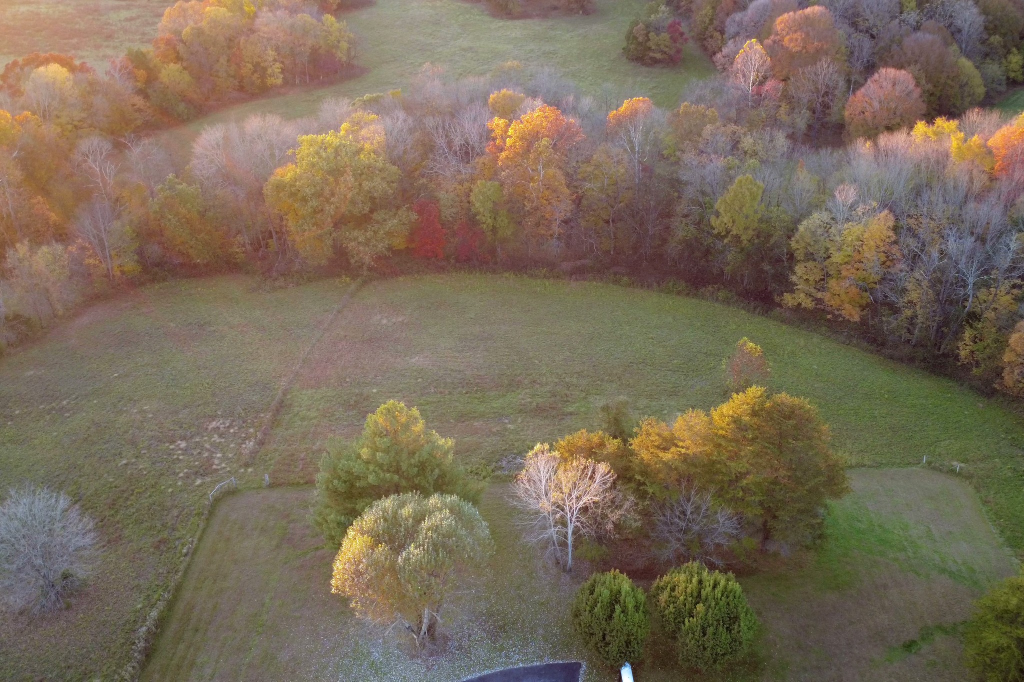 2593 Smiths Grove Road Scottsville KY 42164