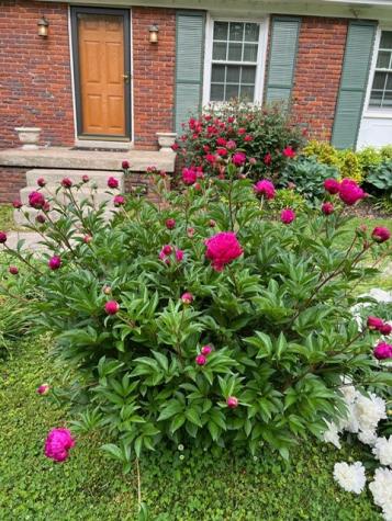108 Ewingville Drive Franklin TN 37064
