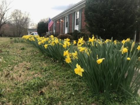 108 Ewingville Drive Franklin TN 37064