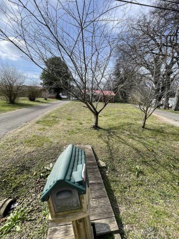 2605 Columbia Highway Pulaski TN 38478