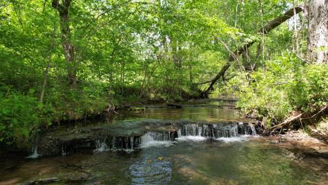 3795 Wayland Springs Road Iron City TN 38463