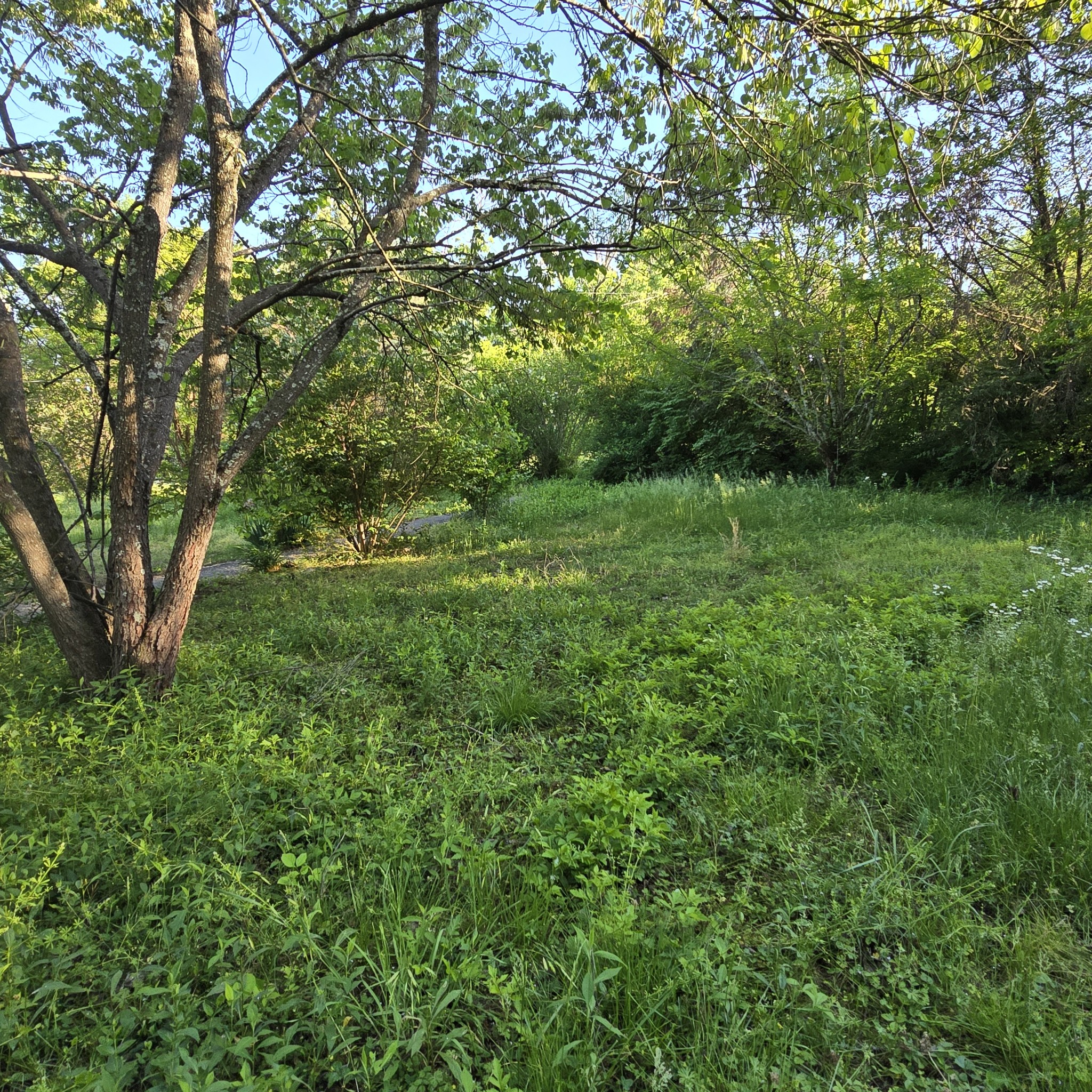 765 Florence Circle Madison TN 37115