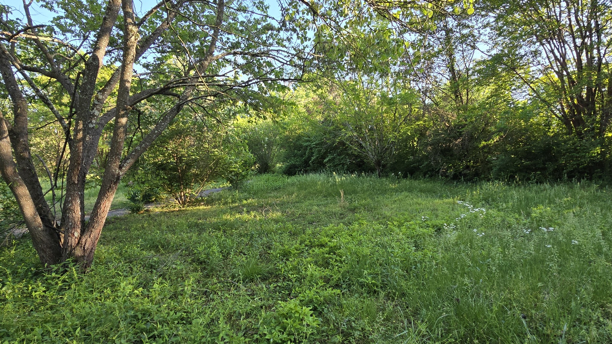 765 Florence Circle Madison TN 37115