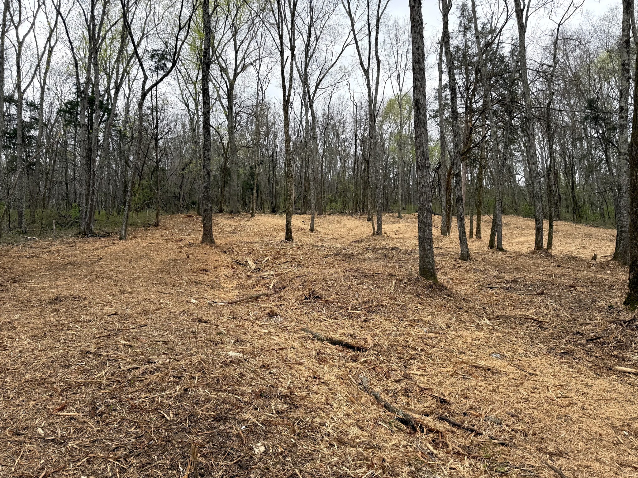 0 Saddle Lane Hartsville TN 37074