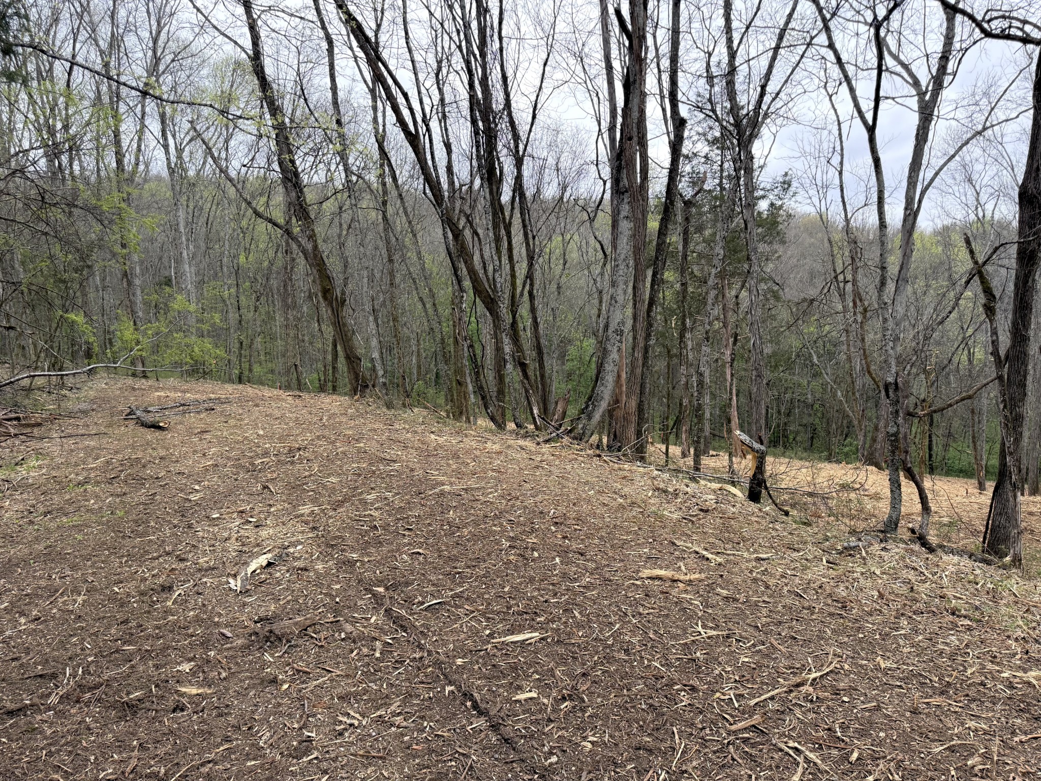 0 Saddle Lane Hartsville TN 37074