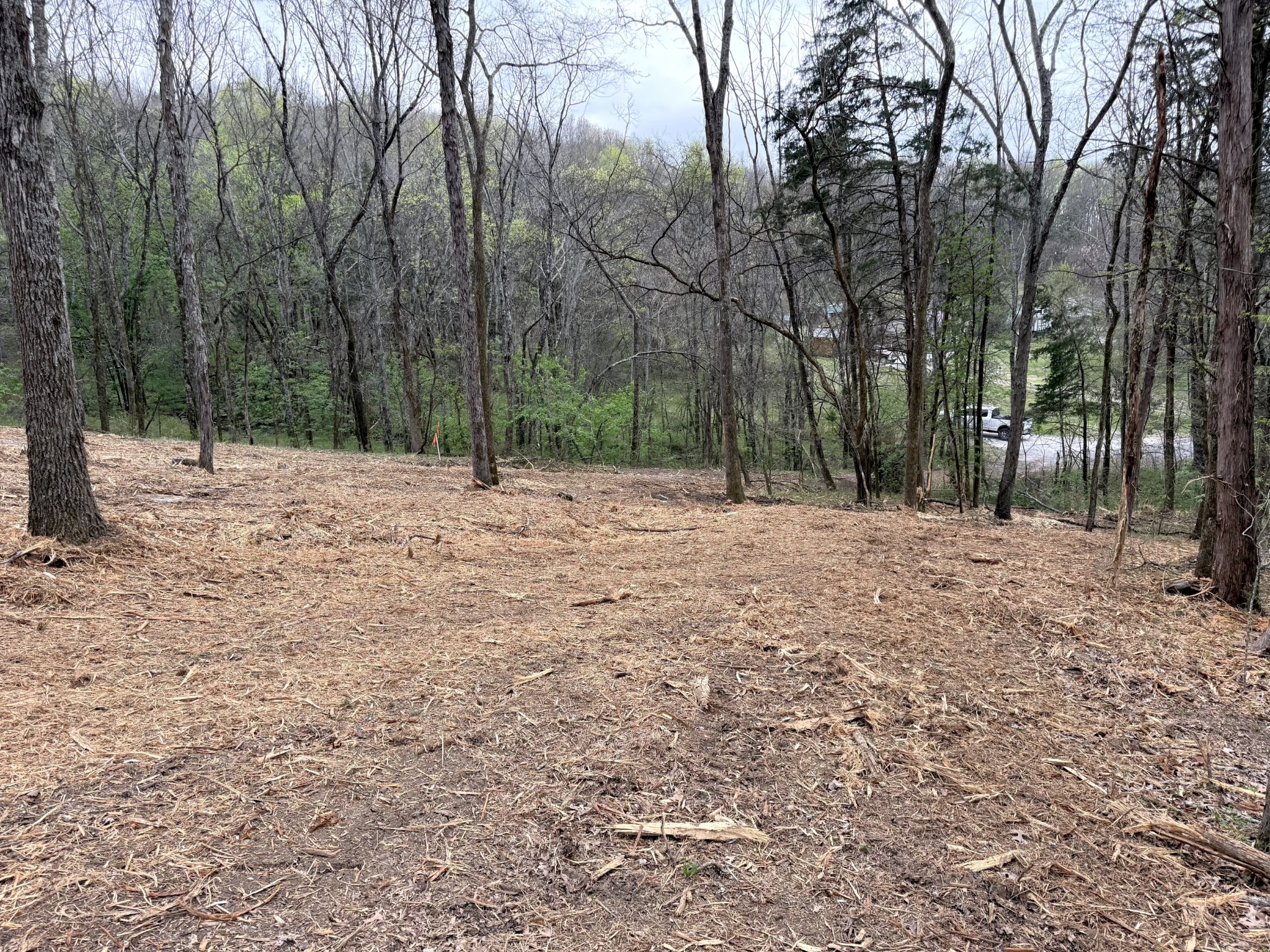 0 Saddle Lane Hartsville TN 37074