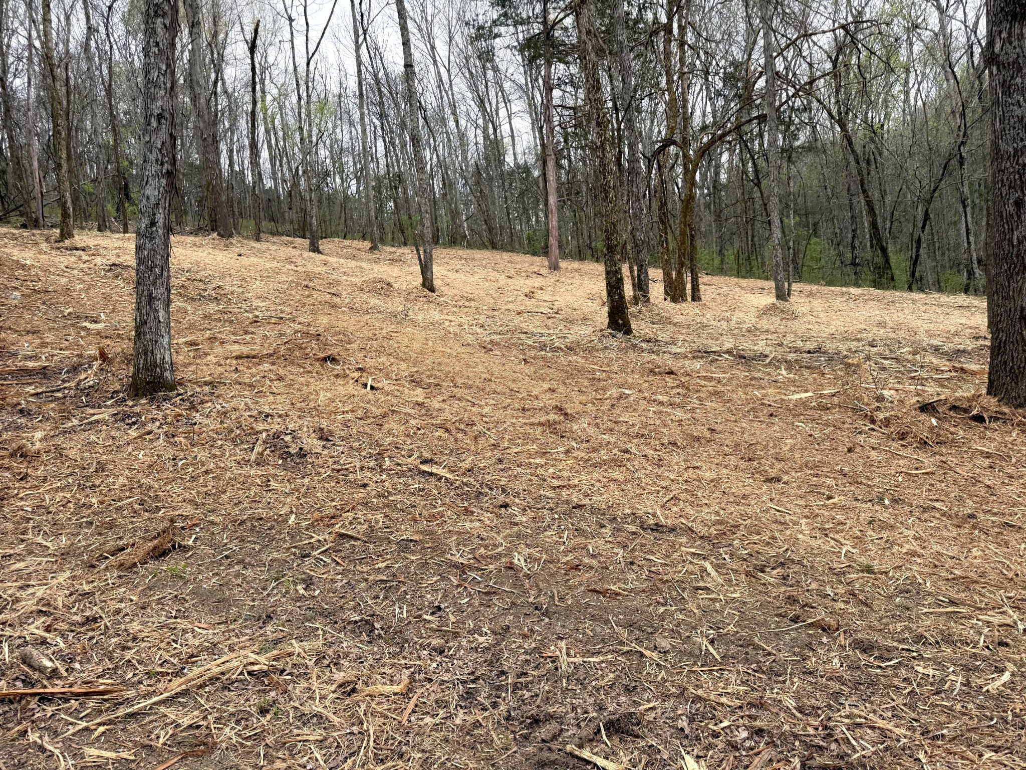0 Saddle Lane Hartsville TN 37074