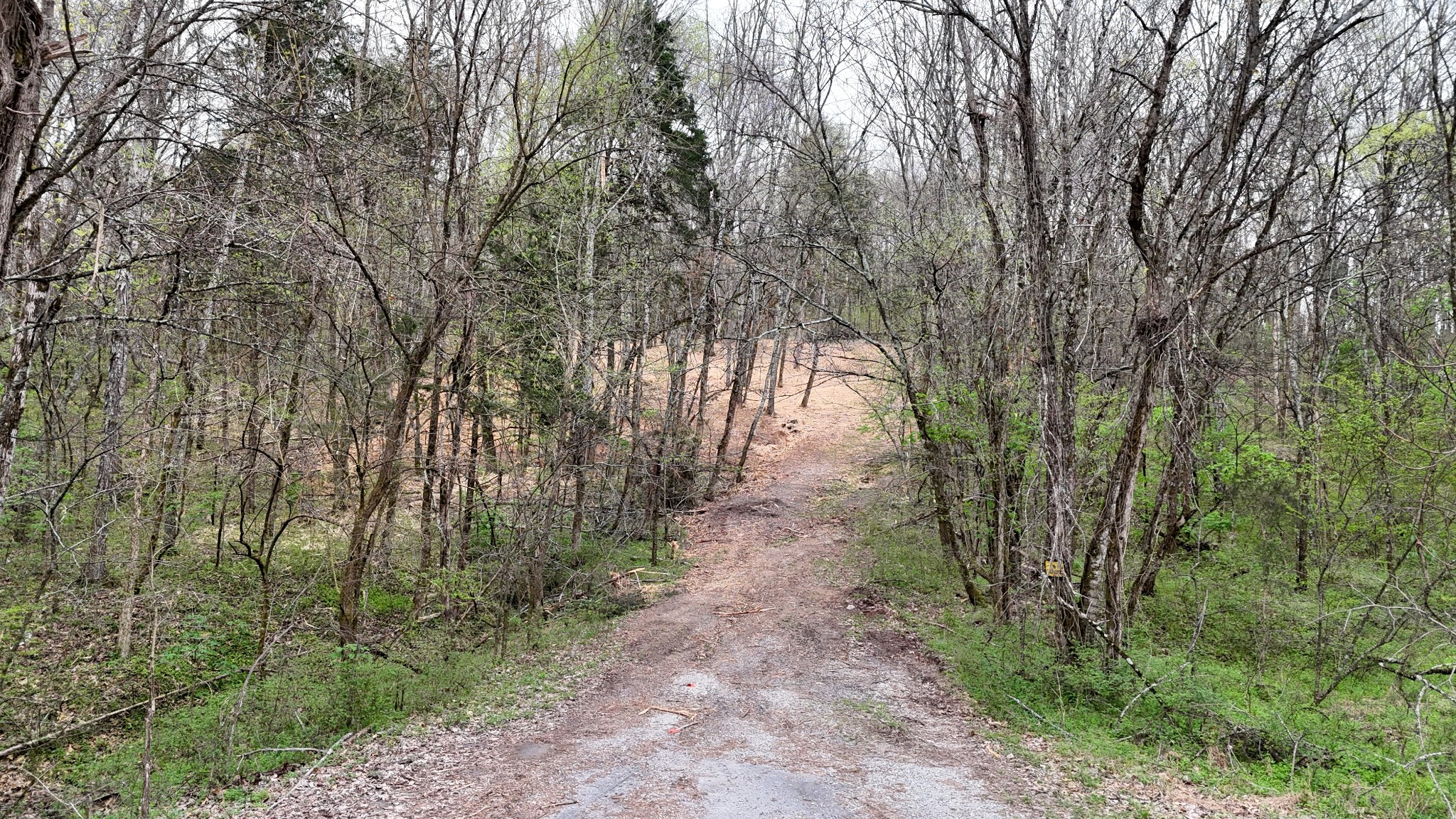 0 Saddle Lane Hartsville TN 37074